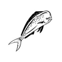 Mahi-mahi or Common Dolphinfish vector