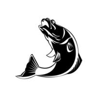 Barramundi Fish Jumping Up Isolated Black and White Retro vector