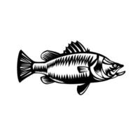 Saltwater Barramundi Side View Woodcut Black and White vector