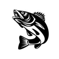 Walleye Fish Jumping Isolated Black and White Retro vector