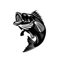 Florida Largemouth Bass Swimming Up Black and White Retro vector