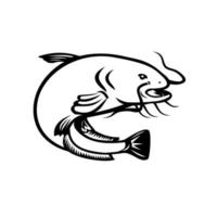 Wels Catfish Jumping Side Retro Black and White vector