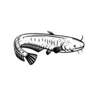 Download Catfish Vector Art Icons And Graphics For Free Download
