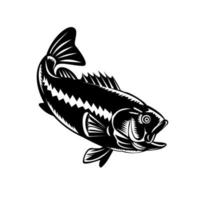 Largemouth Bass Diving Down Black and White Retro Woodcut vector