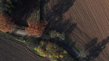 Flygfoto uppifrån och ner av träd och ett fält i 4k video