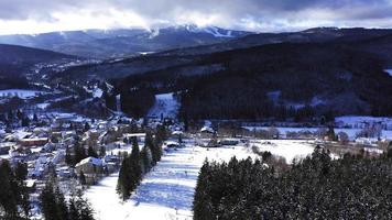 montagne innevate con una foresta in 4 k video