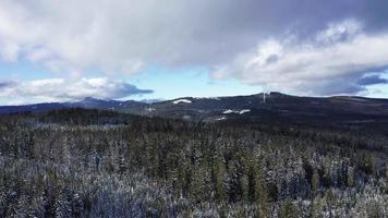 vista aérea de un bosque nevado en 4 k video