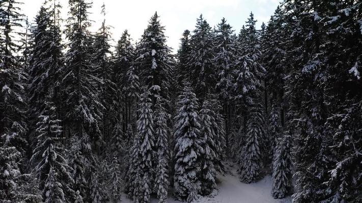 白雪影片