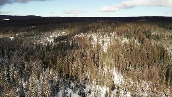 Vista aérea del bosque nevado en las montañas en 4k video