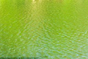 Ripples on the surface of green water photo