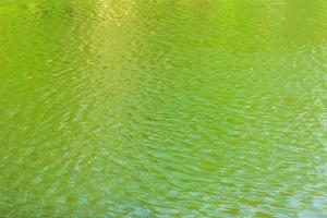 Ripples on the surface of green water photo
