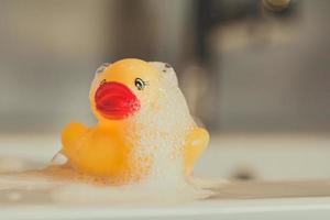 Yellow rubber duck with bubbles