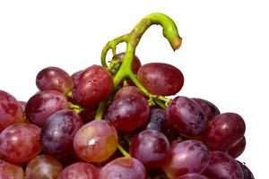 Close-up of red grapes on white background photo