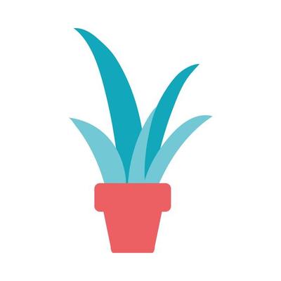 modern flower pot vector illustration