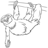 sloth cartoon animal character coloring book page vector