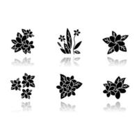 Plumeria drop shadow black glyph icons set. Exotic region flowers. Flora of Indonesian islands. Small tropical plants. Blossom of frangipani with leaves. Nature of Bali. Isolated vector illustrations