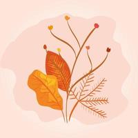 branches with leafs of autumn vector