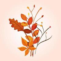 branches with leafs of autumn vector