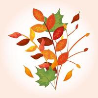 branches with leafs of autumn vector