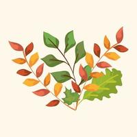 branches with leafs of autumn vector