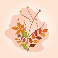 branches with leafs of autumn vector