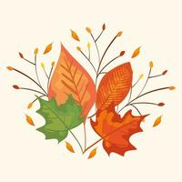 branches with leafs of autumn vector