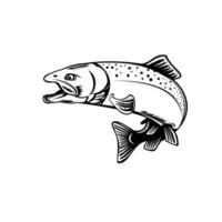 Chinook Salmon Oncorhynchus Tshawytscha Quinnat Salmon King Salmon or Chrome Hog Retro Woodcut Black and White