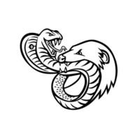 King Cobra Snake and Mongoose Fighting Biting and Attacking Mascot Retro Black and White vector