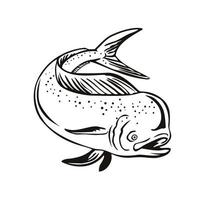 Dorado Mahi-mahi or Common Dolphinfish Jumping Up Retro Black and White vector