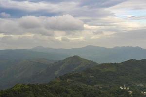 Forest landscape in Thailand photo