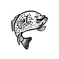 Crappie Fish Jumping Up Mascot Black and White vector