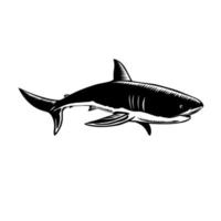 Great White Shark Carcharodon Carcharias White Shark or White Pointer Side View Retro Woodcut Black and White vector