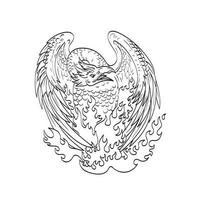 phoenix pájaro mitológico se regenera en llamas dibujo de primera línea en blanco y negro vector