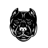 Cabeza de pit bull o pitbull vista frontal xilografía retro en blanco y negro vector