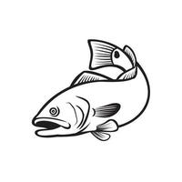 spottail bass tambor rojo redfish channel bass o perrito tambor saltando en blanco y negro retro vector