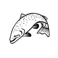 Steelhead Columbia River Redband Trout or Coastal Rainbow Trout Jumping Cartoon Black and White vector