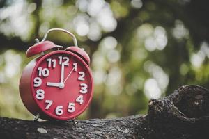 Close-up of an alarm clock on a tree branch outside photo