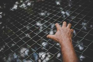 Hand on metal fence, feeling no freedom photo