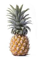 Pineapple on white background photo