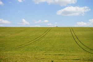 A grass field under the sky photo