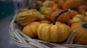 Small Pumpkins in A Weed Basket