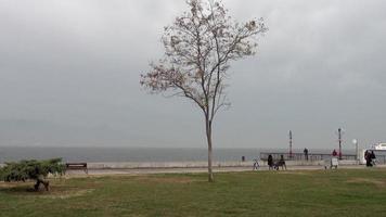 personnes marchant au bord de la mer en hiver video