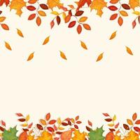 frame decoration of leafs autumn vector