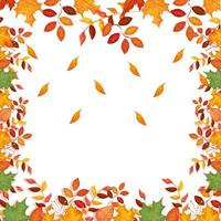 frame decoration of leafs autumn vector