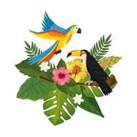 parrot with toucan and leafs nature vector