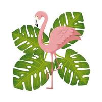 flamingo pink animal with leafs nature vector