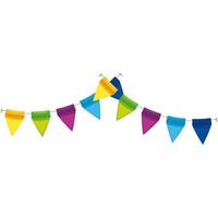 Isolated party banner pennant vector design
