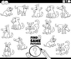 find two same dogs picture coloring book page vector