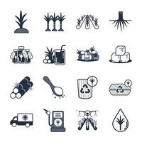 Sugarcane icon set vector