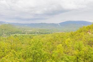 Forest in the mountains photo